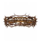 Coroa de espinhos de Jesus