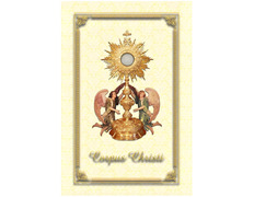 Adicionar ao carrinho Colgadura beige para o Corpus Christi Colgadura beige para o Corpus Christi