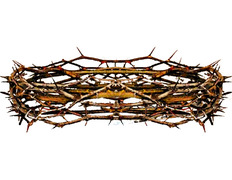 Coroa de espinhos de Jesus