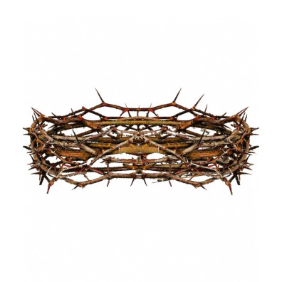 Coroa de espinhos de Jesus