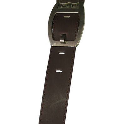 Porta-estandarte