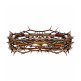 Coroa de espinhos de Jesus